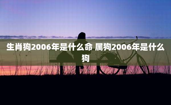 生肖狗2006年是什么命 属狗2006年是什么狗