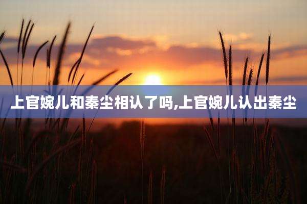 上官婉儿和秦尘相认了吗,上官婉儿认出秦尘
