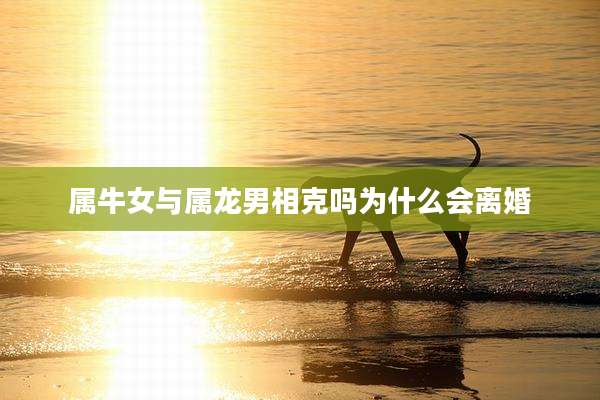属牛女与属龙男相克吗为什么会离婚