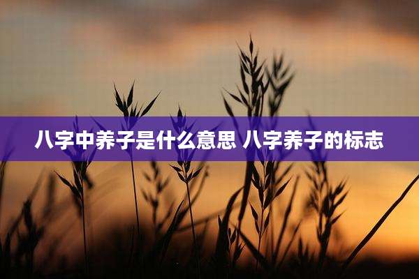 八字中养子是什么意思 八字养子的标志