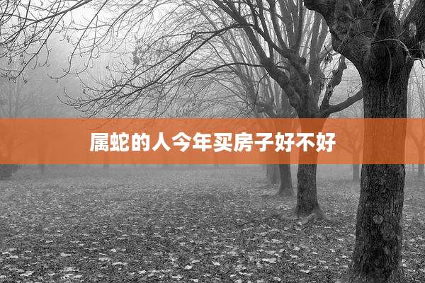 属蛇的人今年买房子好不好