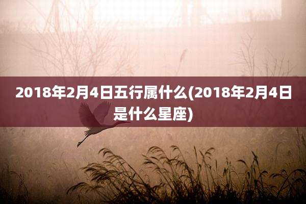 2018年2月4日五行属什么(2018年2月4日是什么星座)