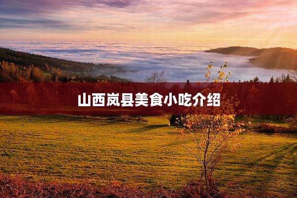 山西岚县美食小吃介绍