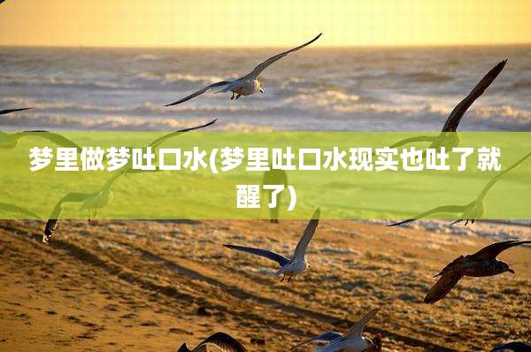 梦里做梦吐口水(梦里吐口水现实也吐了就醒了)