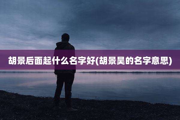 胡景后面起什么名字好(胡景昊的名字意思)
