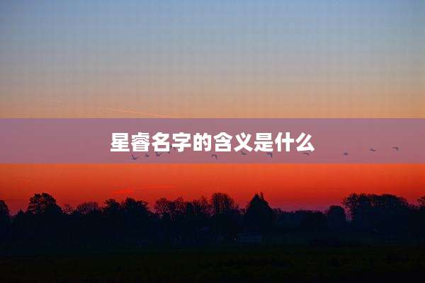 星睿名字的含义是什么