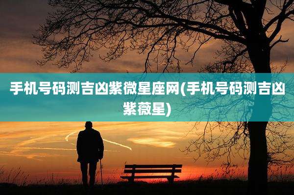 手机号码测吉凶紫微星座网(手机号码测吉凶紫薇星)