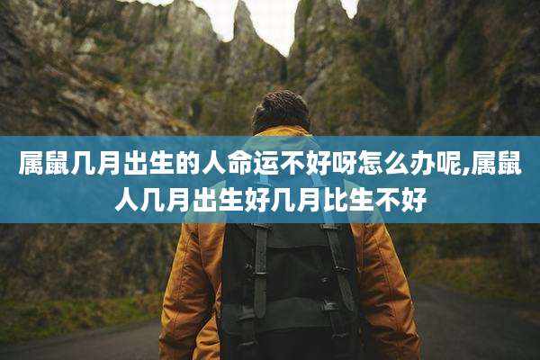 属鼠几月出生的人命运不好呀怎么办呢,属鼠人几月出生好几月比生不好