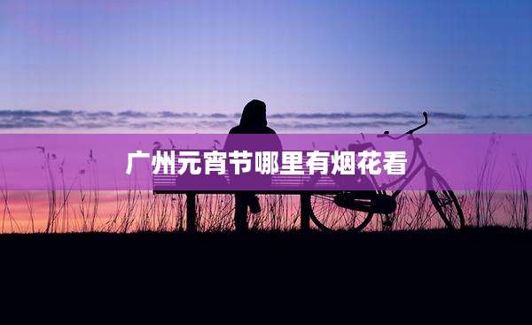 广州元宵节哪里有烟花看