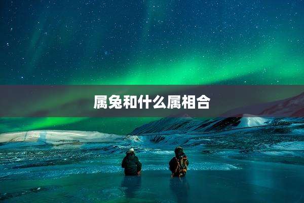属兔和什么属相合