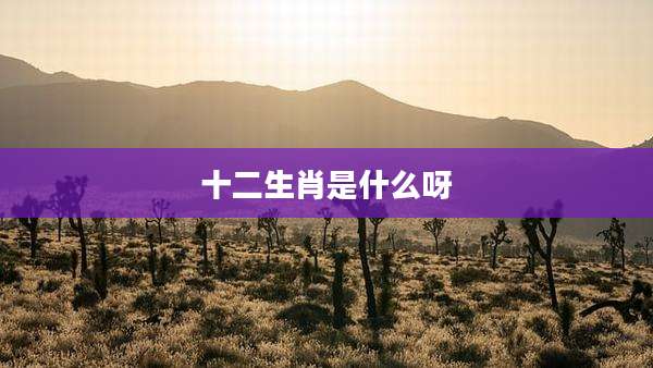 十二生肖是什么呀