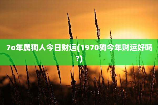 7o年属狗人今日财运(1970狗今年财运好吗?)