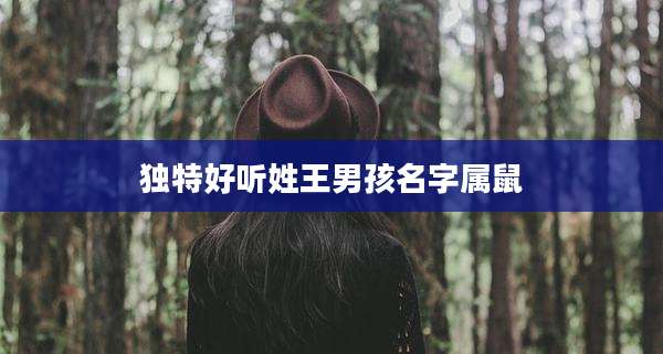 独特好听姓王男孩名字属鼠