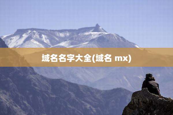 域名名字大全(域名 mx)