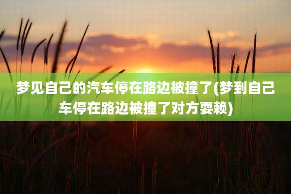 梦见自己的汽车停在路边被撞了(梦到自己车停在路边被撞了对方耍赖)