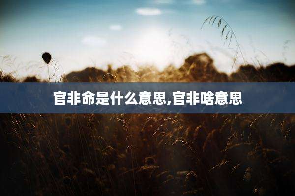 官非命是什么意思,官非啥意思