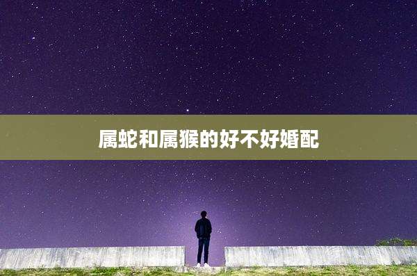 属蛇和属猴的好不好婚配