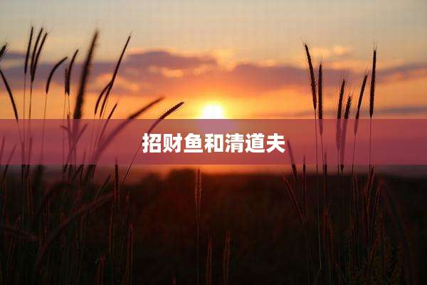 招财鱼和清道夫