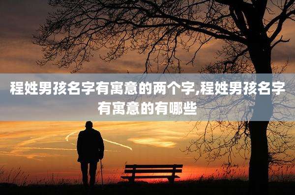 程姓男孩名字有寓意的两个字,程姓男孩名字有寓意的有哪些