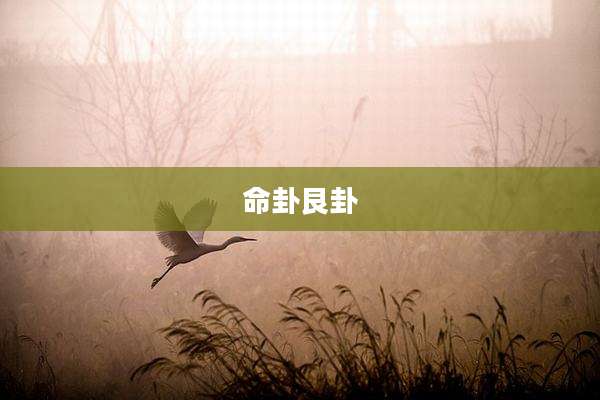命卦艮卦