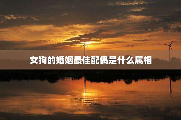 女狗的婚姻最佳配偶是什么属相