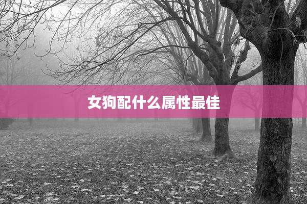 女狗配什么属性最佳