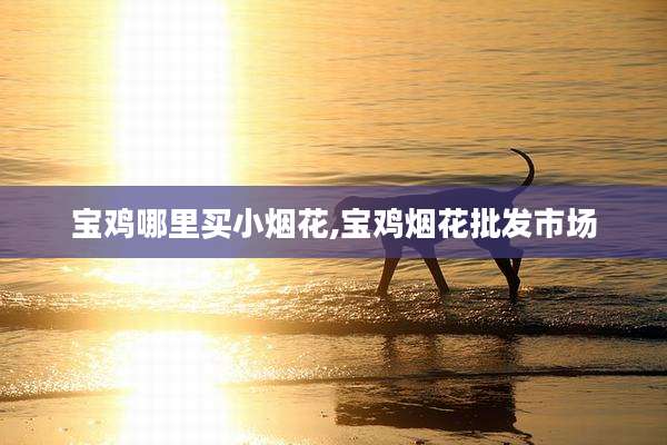宝鸡哪里买小烟花,宝鸡烟花批发市场