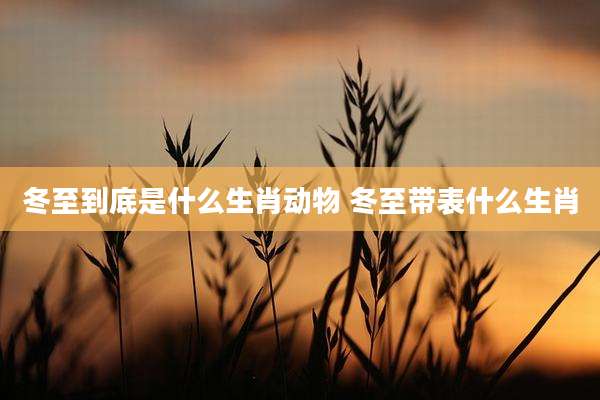 冬至到底是什么生肖动物 冬至带表什么生肖