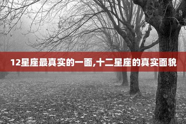 12星座最真实的一面,十二星座的真实面貌