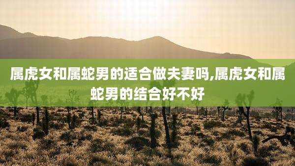 属虎女和属蛇男的适合做夫妻吗,属虎女和属蛇男的结合好不好