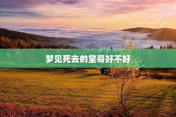 梦见死去的堂哥好不好