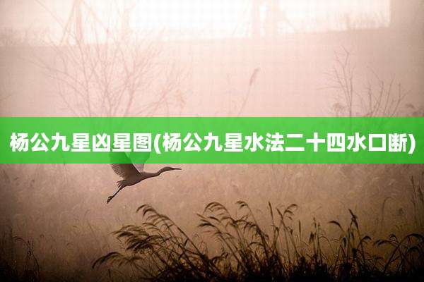 杨公九星凶星图(杨公九星水法二十四水口断)