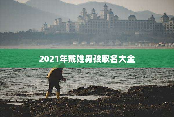 2021年戴姓男孩取名大全