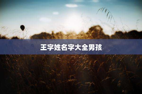 王字姓名字大全男孩