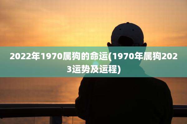 2022年1970属狗的命运(1970年属狗2023运势及运程)