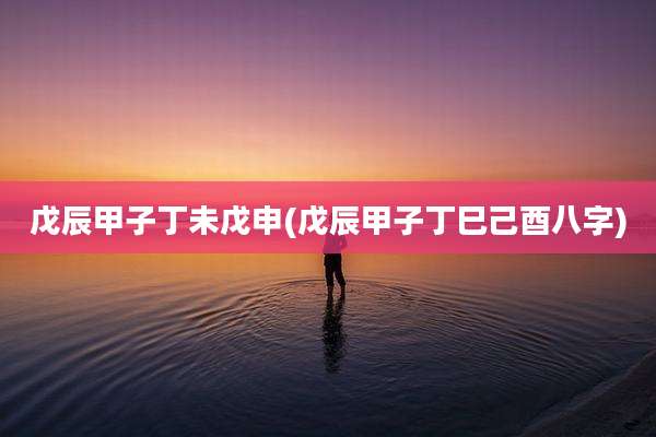 戊辰甲子丁未戊申(戊辰甲子丁巳己酉八字)