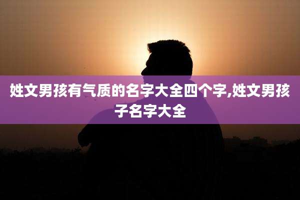 姓文男孩有气质的名字大全四个字,姓文男孩子名字大全