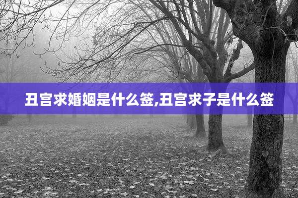 丑宫求婚姻是什么签,丑宫求子是什么签