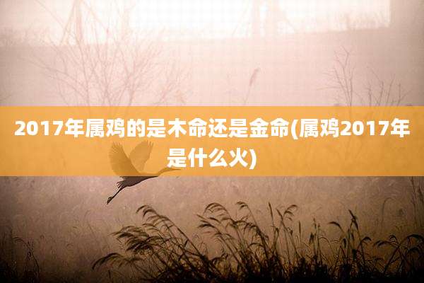 2017年属鸡的是木命还是金命(属鸡2017年是什么火)