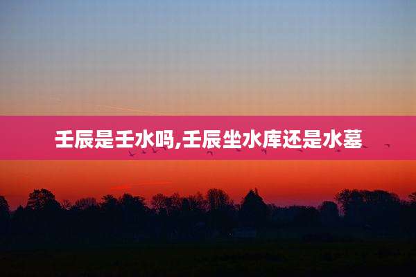 壬辰是壬水吗,壬辰坐水库还是水墓