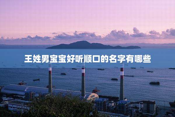 王姓男宝宝好听顺口的名字有哪些