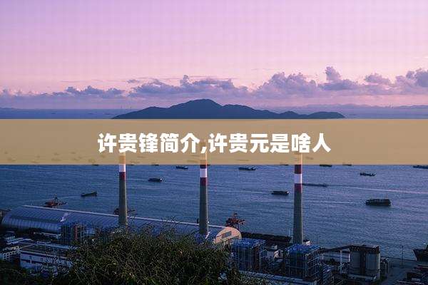 许贵锋简介,许贵元是啥人