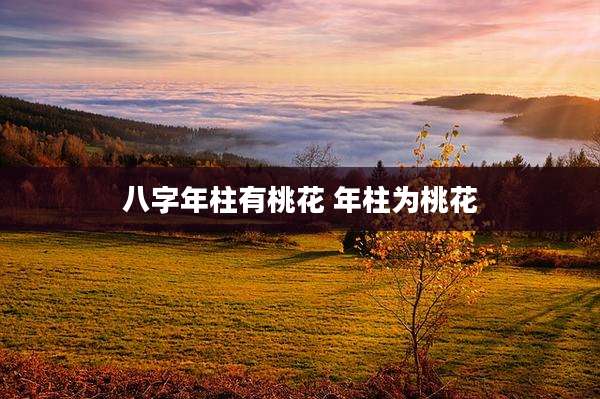 八字年柱有桃花 年柱为桃花