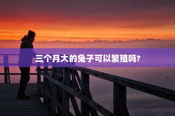 三个月大的兔子可以繁殖吗?