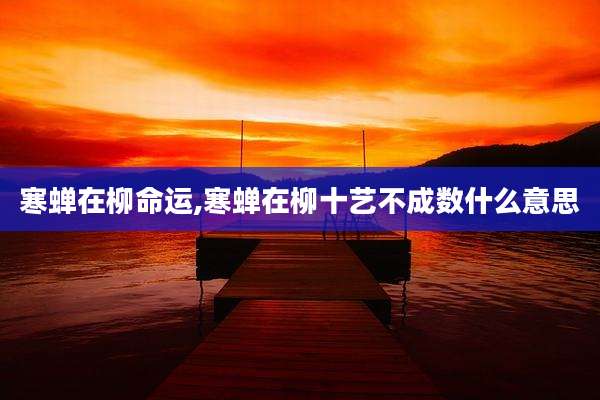 寒蝉在柳命运,寒蝉在柳十艺不成数什么意思