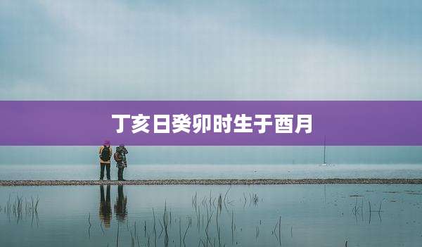 丁亥日癸卯时生于酉月