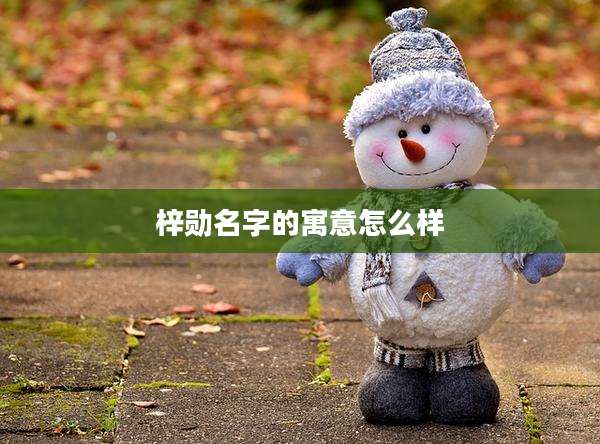 梓勋名字的寓意怎么样