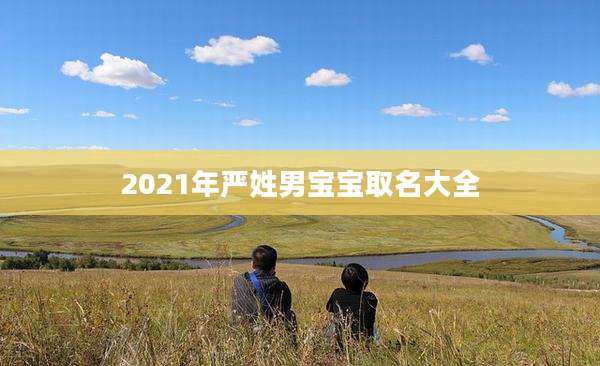 2021年严姓男宝宝取名大全