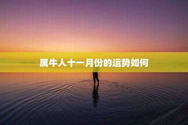 属牛人十一月份的运势如何