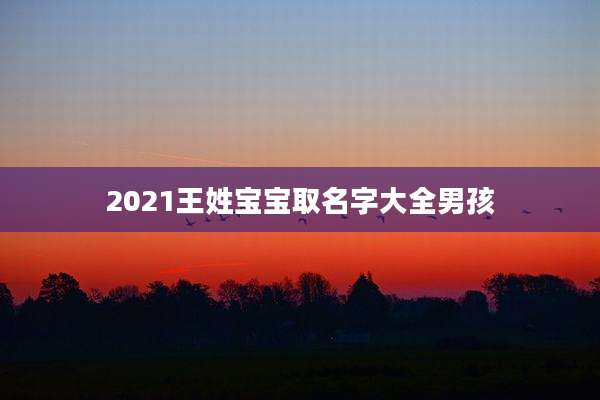 2021王姓宝宝取名字大全男孩